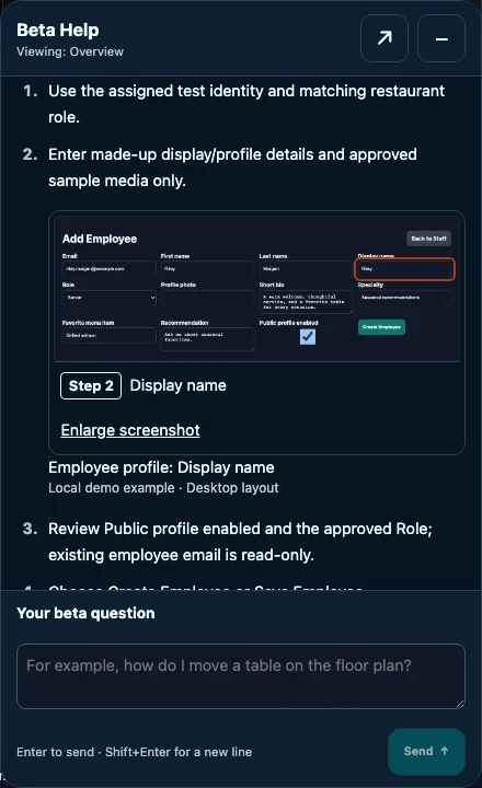 Prepared Beta Help walkthrough in dark mode with a genuine local demo form illustration and enlargement control.